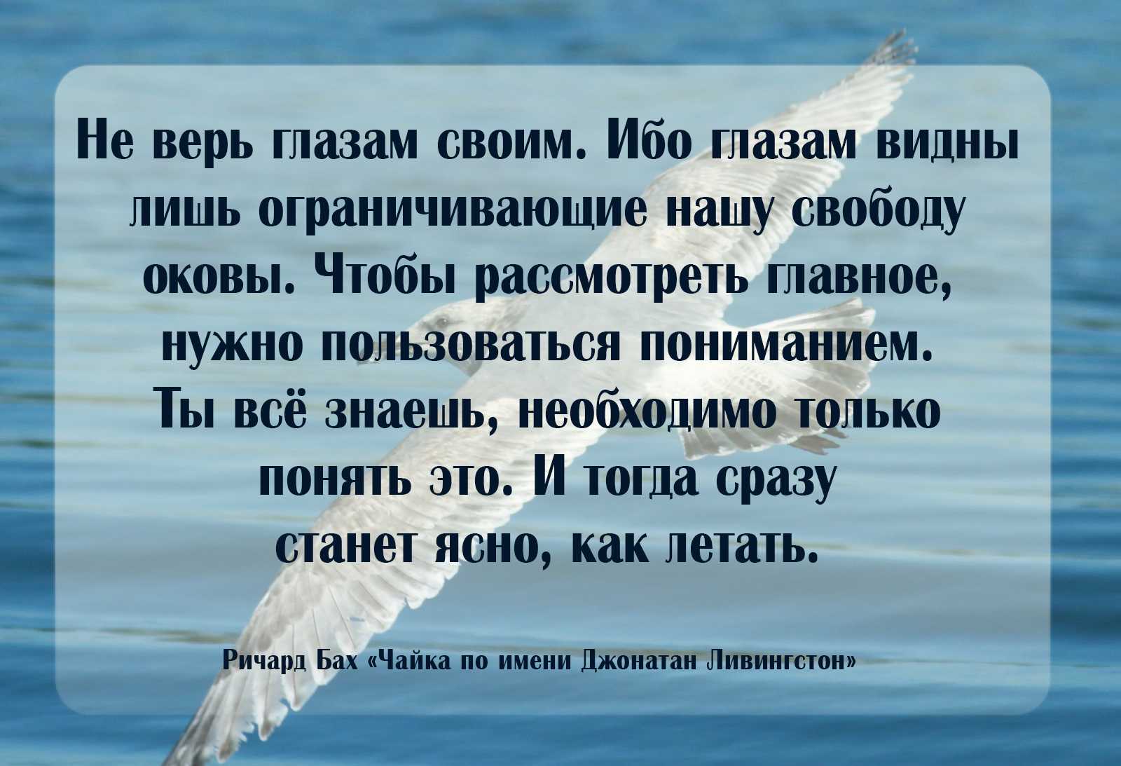 Ричард бах цитаты о любви. цитаты ричарда баха. ричард бах: избранные цитаты из книг