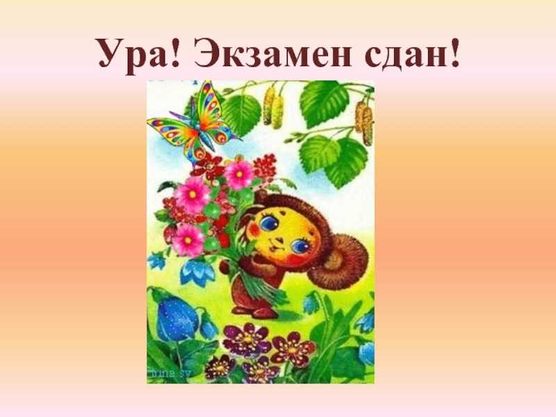 Поздравления со сдачей экзамена