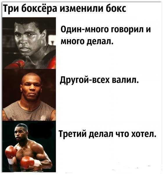 ✅ золотые цитаты про бокс. статусы про бокс - ledi-i-sport.ru