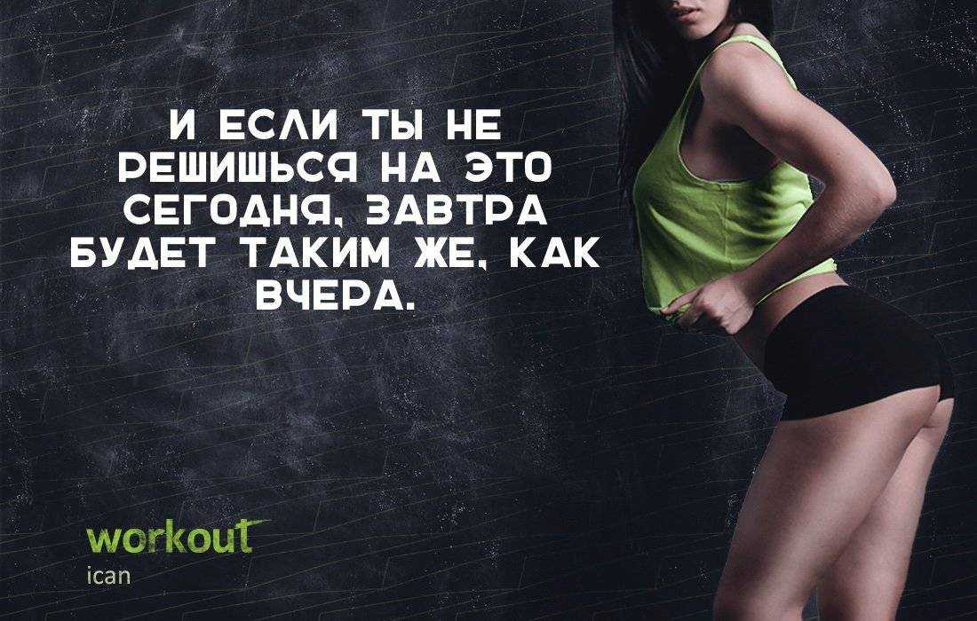 Цитаты о диете прикольные. статусы про диету