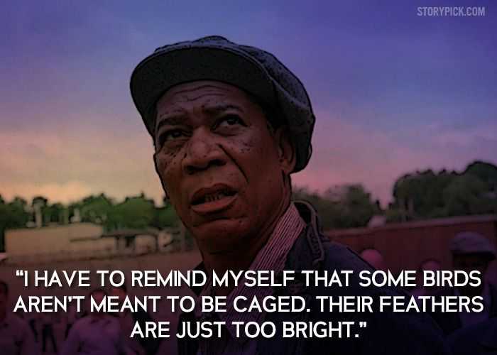 25 top shawshank redemption quotes you need to know