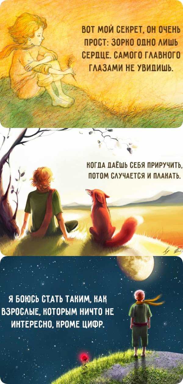 Лучшие цитаты из «маленького принца» антуана де сент-экзюпери