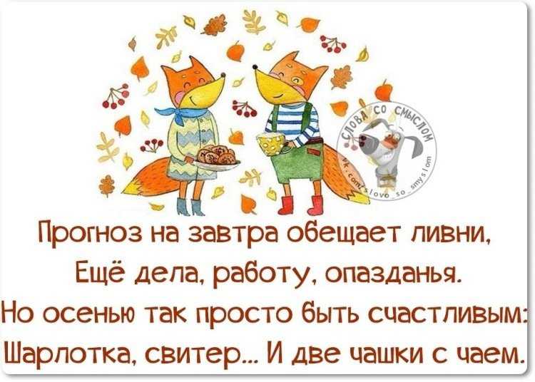 Осень смешно – смешные статусы про осень – всё о детях – беременность, воспитание, уроки для детей