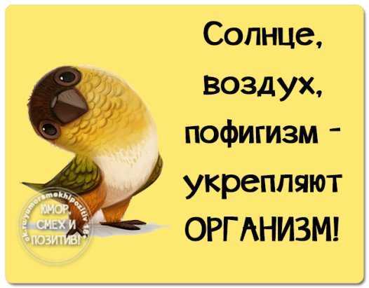 Как стать пофигистом- 17 простых правил