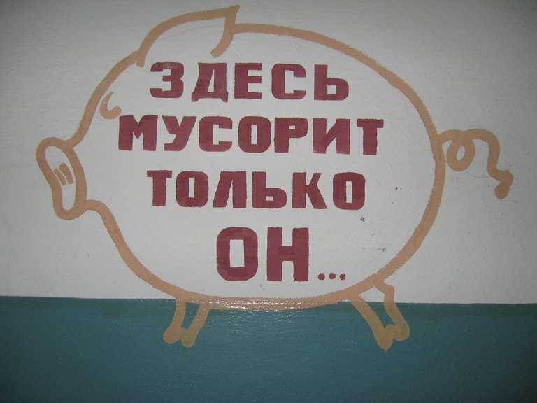 305 фраз и цитат про книги: список коротких, крксивых афоризмов, высказываний, изречений о книге со смыслом