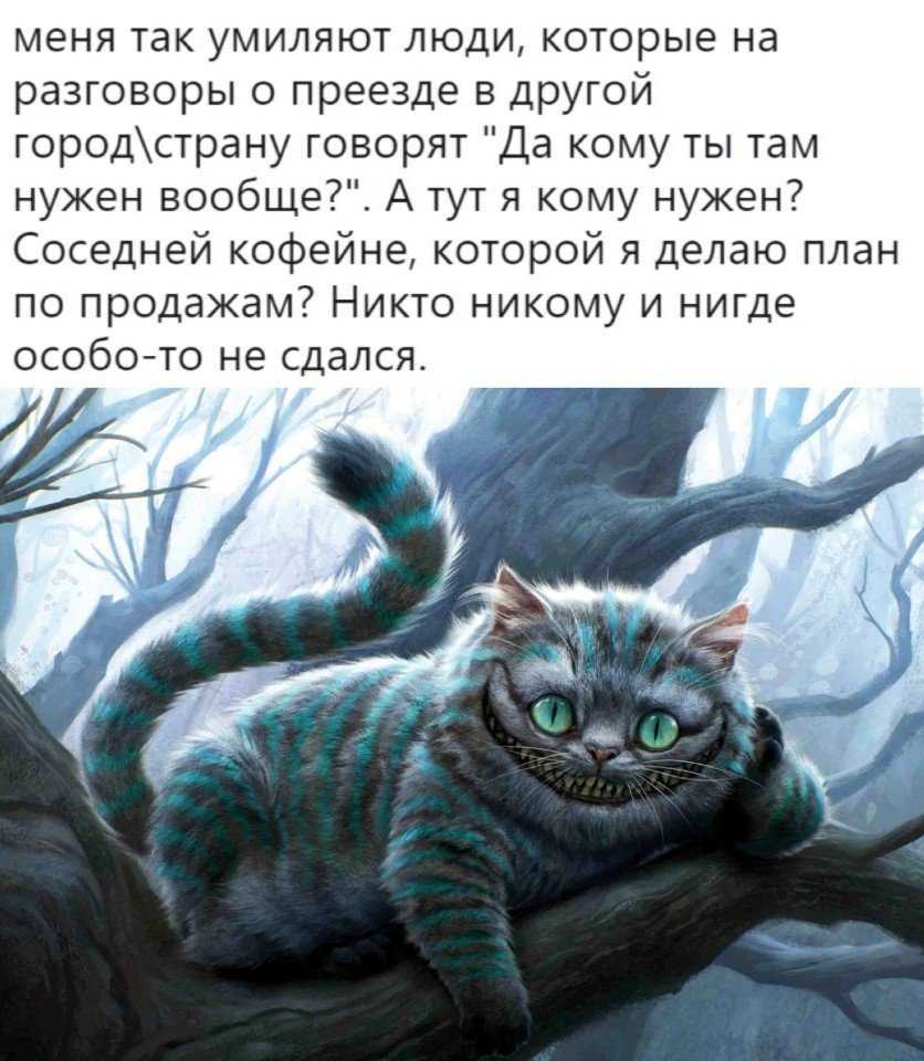 Чеширский кот | wonderland вики | fandom