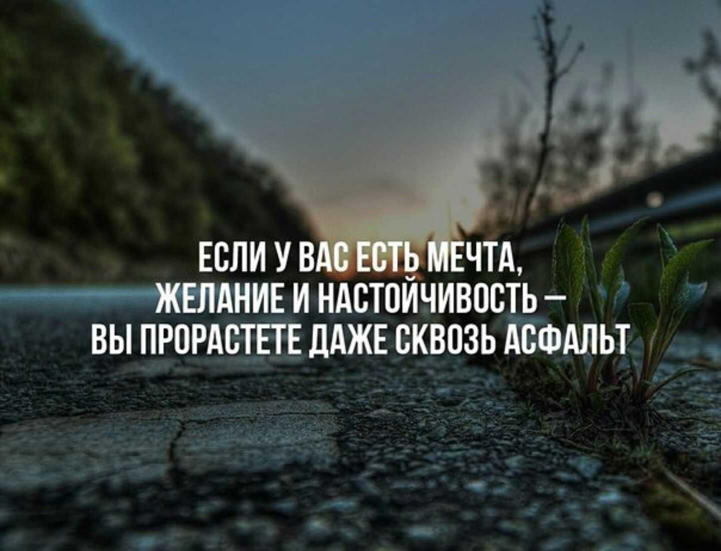 Лучшие цитаты про саморазвитие и самосовершенствование