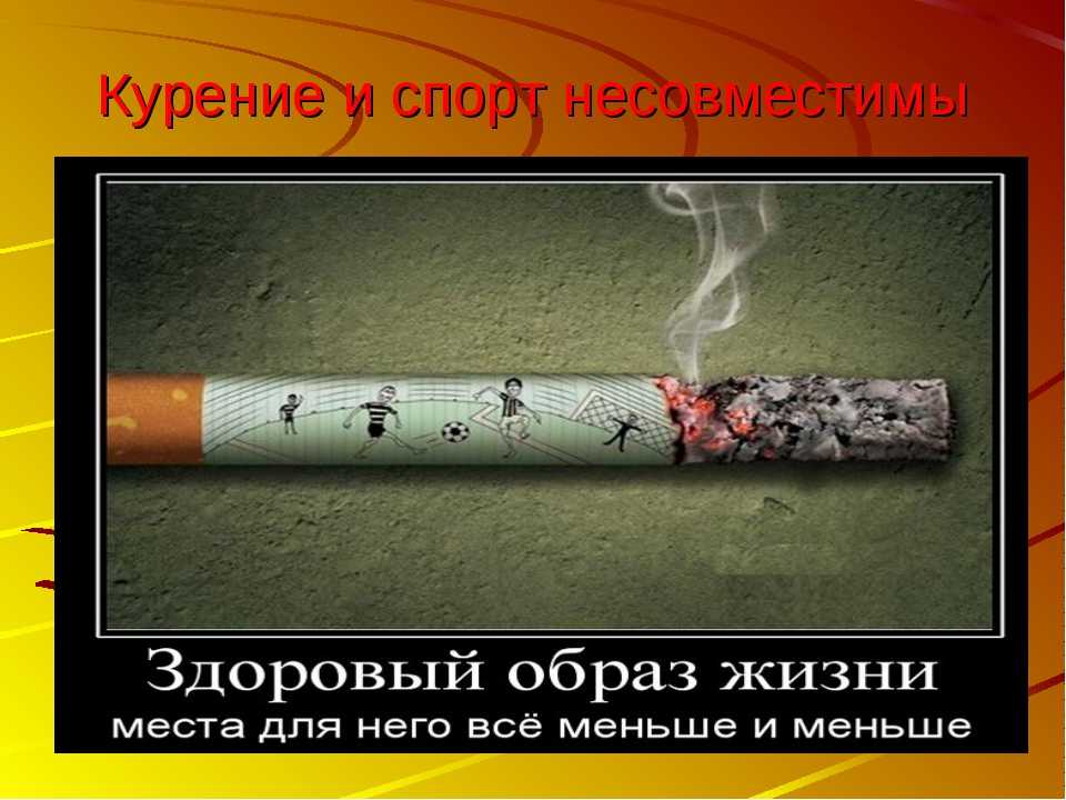 50 лучших цитат про тень из книг и фильмов