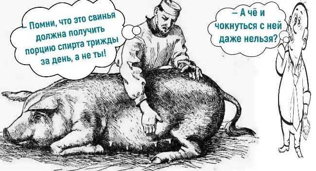 Анекдоты про врачей - самые смешные медицинские анекдоты