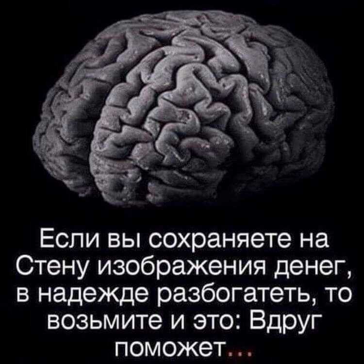 50 лучших цитат со всего мира для жизни
