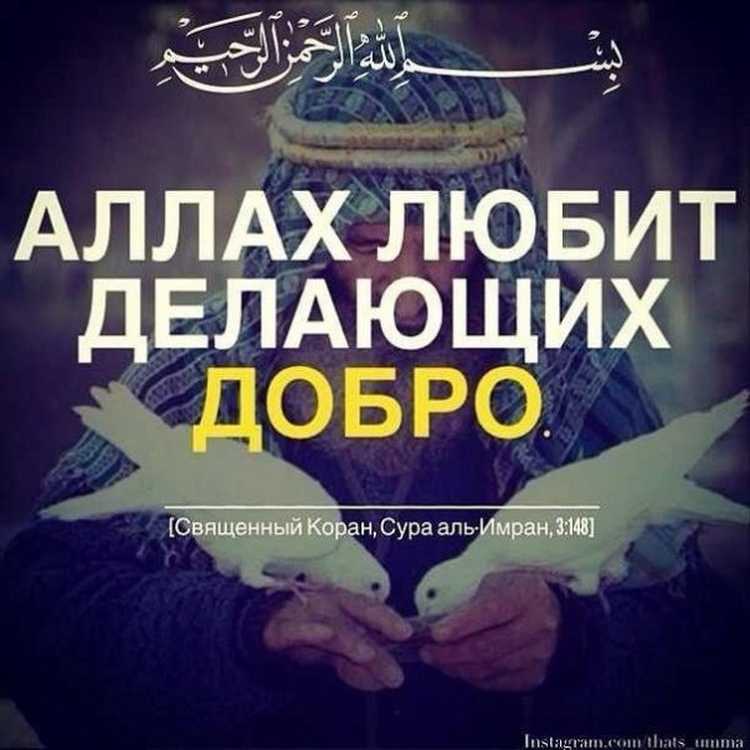 250 лучших вдохновляющих цитат великих людей по категориям - мама, я коуч
