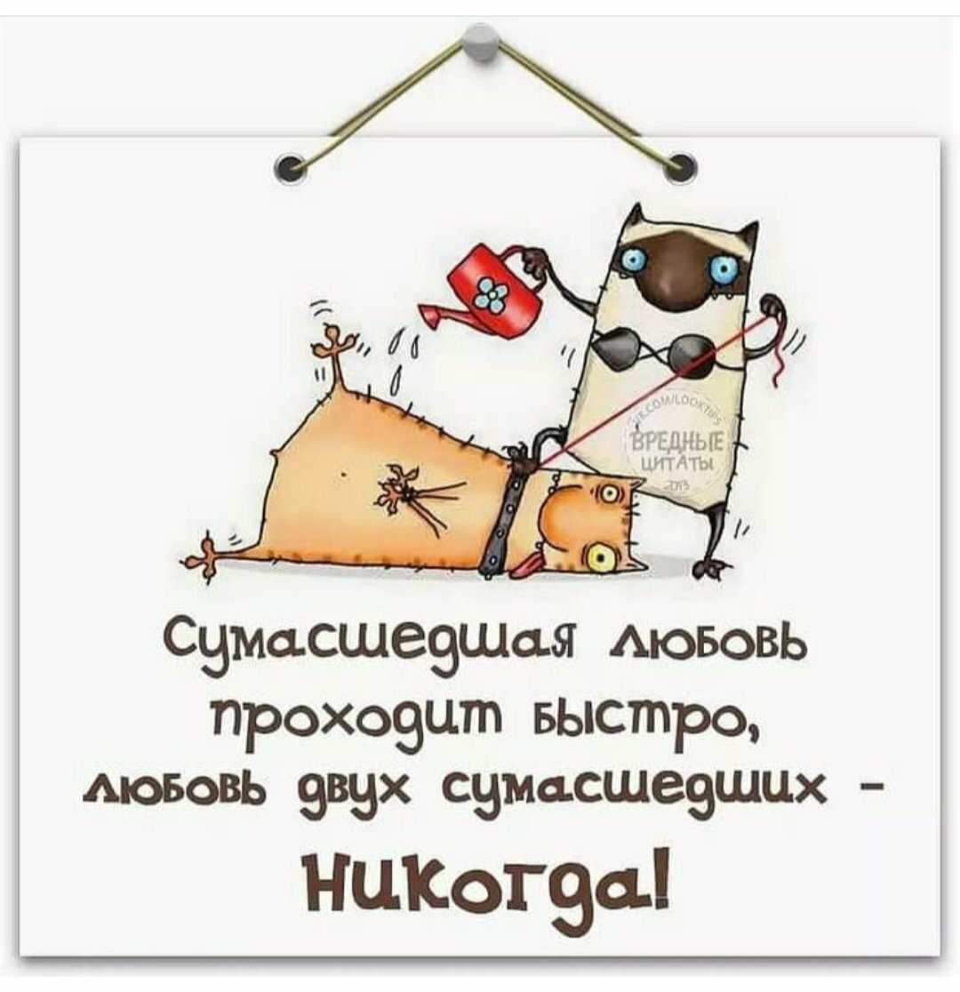Статусы и цитаты про любовь со смыслом короткие