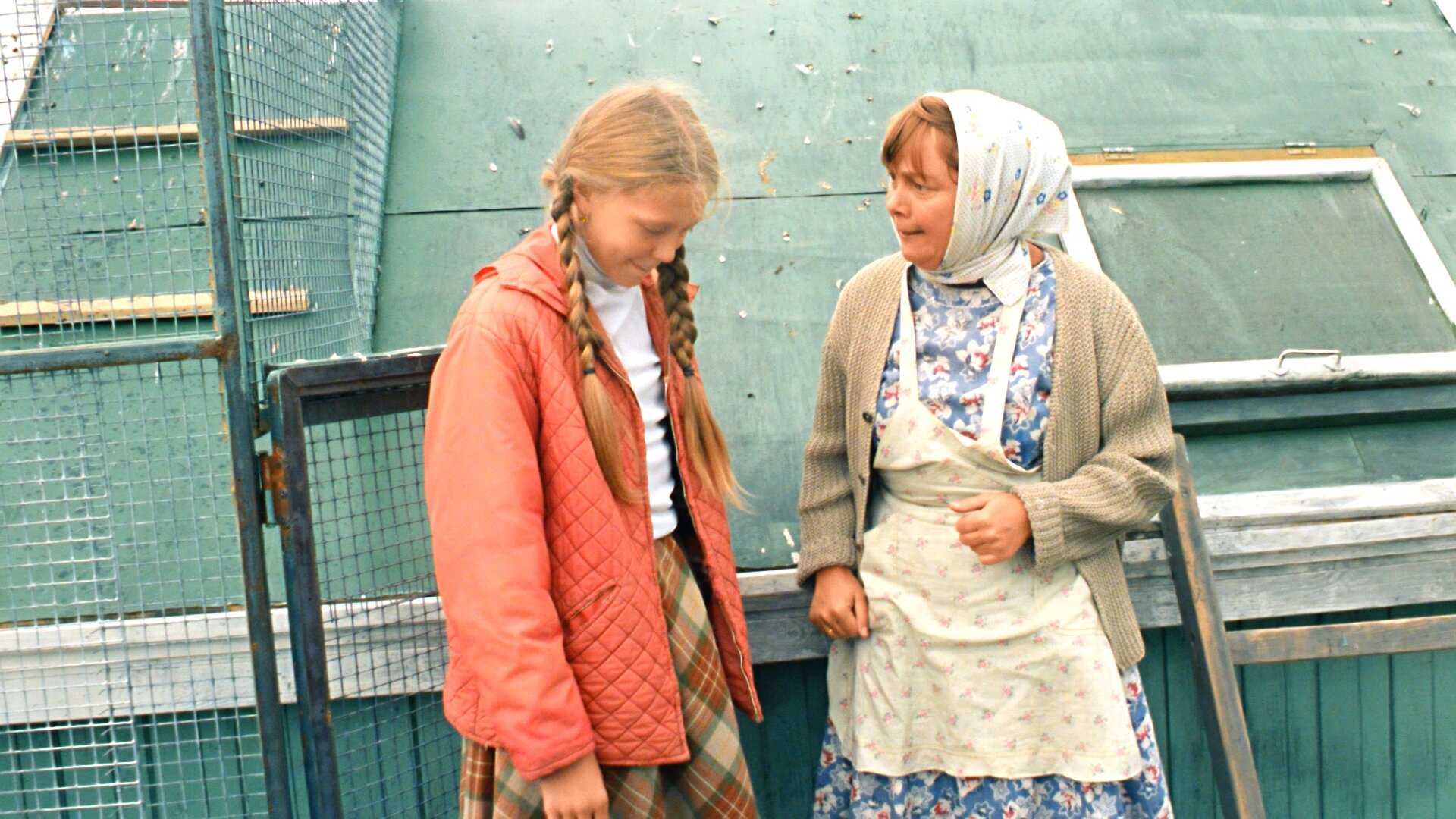 Любовь и голуби цитаты