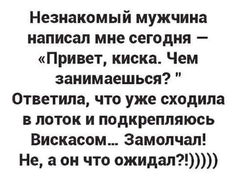 Анекдоты и шутки про погоду для поднятия настроения