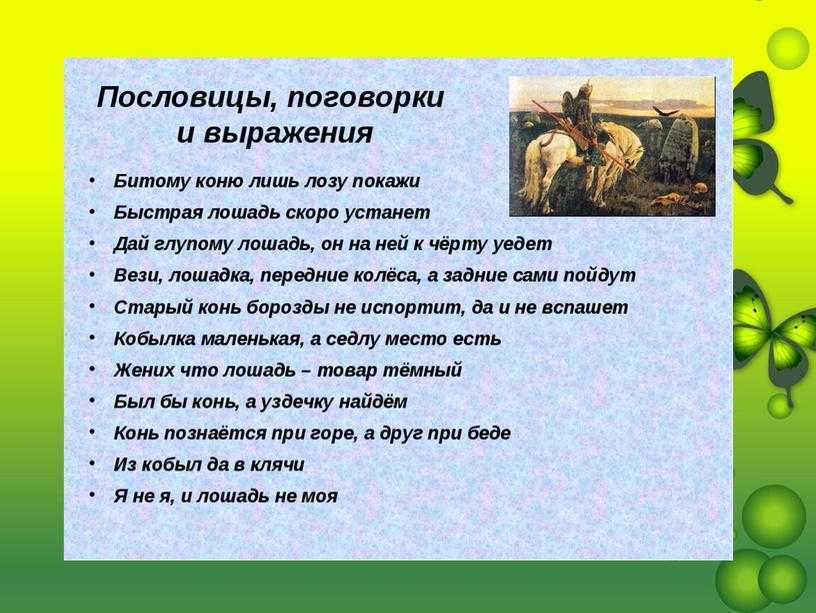 55 лучших цитат из любителей животных, посвященных пушистым друзьям