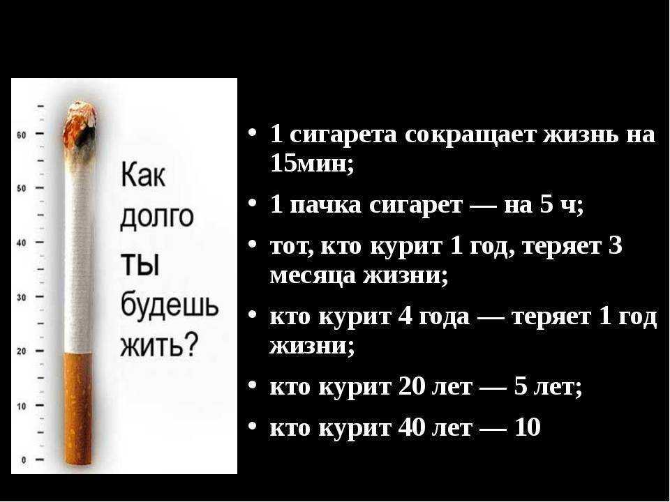50 лучших цитат со всего мира для жизни со смыслом