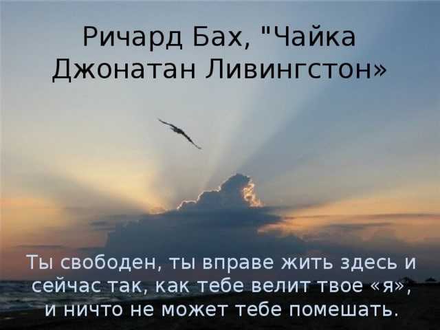 Richard bach: чайка по имени джонатан ливингстон