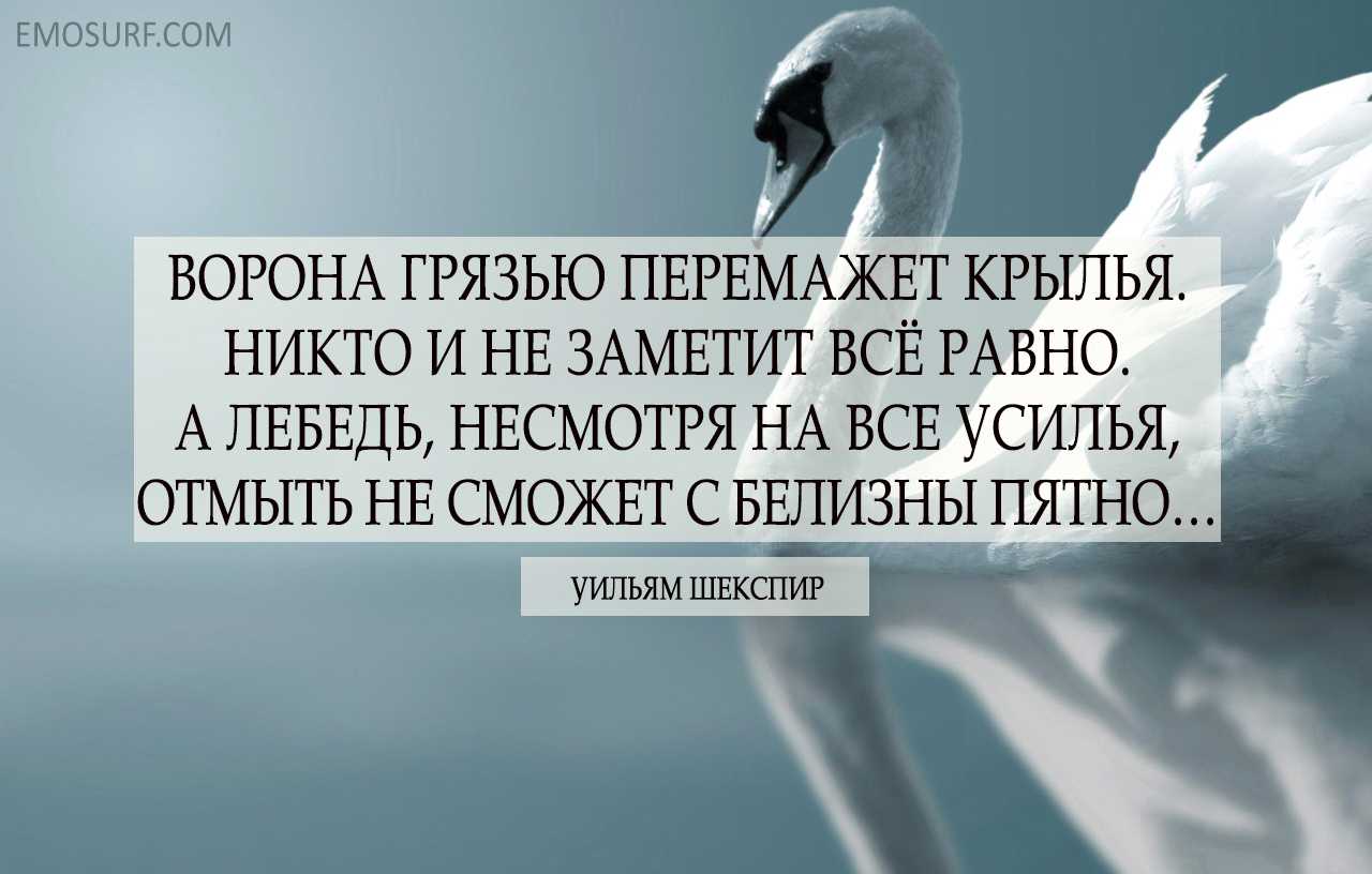 50 лучших цитат уильяма шекспира о жизни