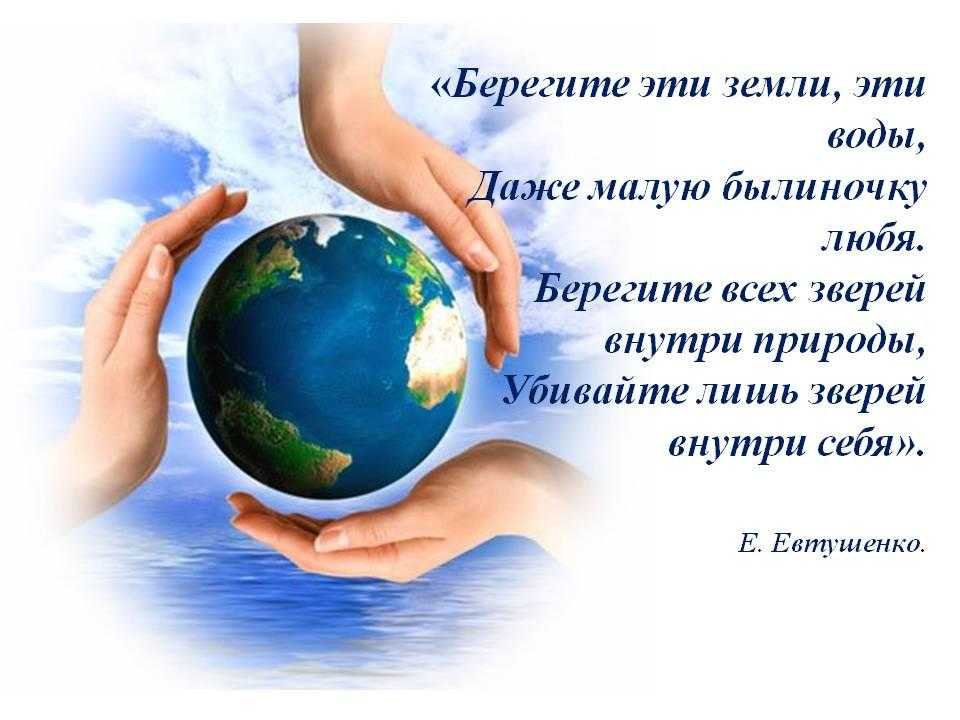 Цитаты про защиту природы и экологию. высказывания великих о природе