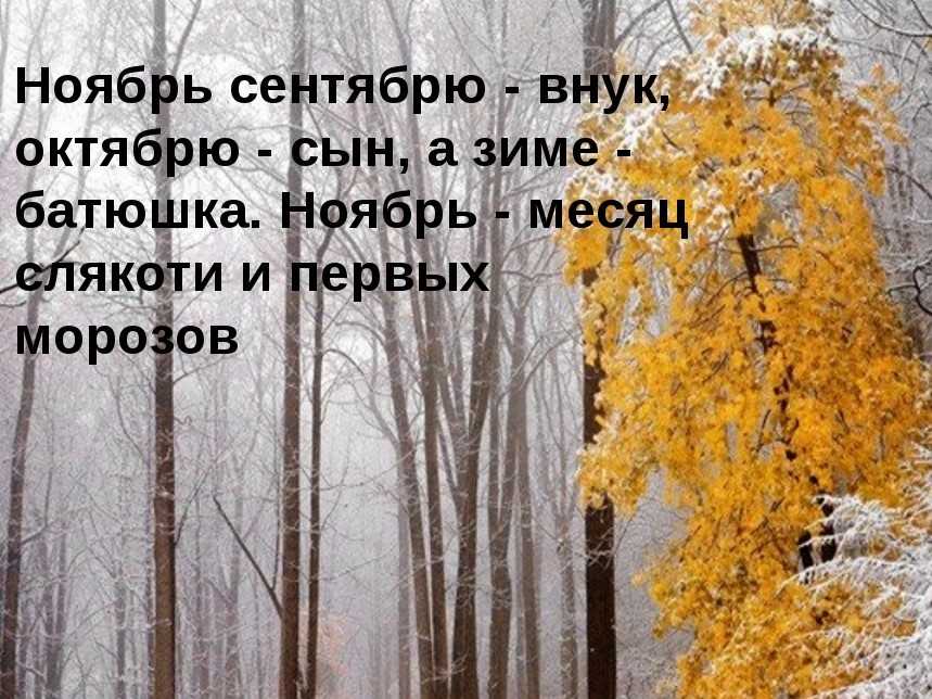 Про ноябрь цитаты ноябрь