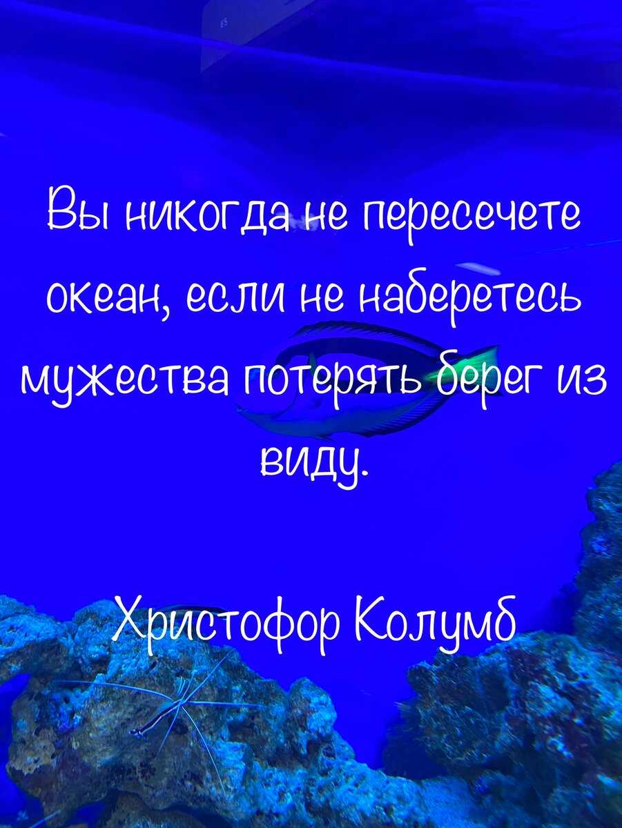 Цитаты про вдохновение: короткие, со смыслом