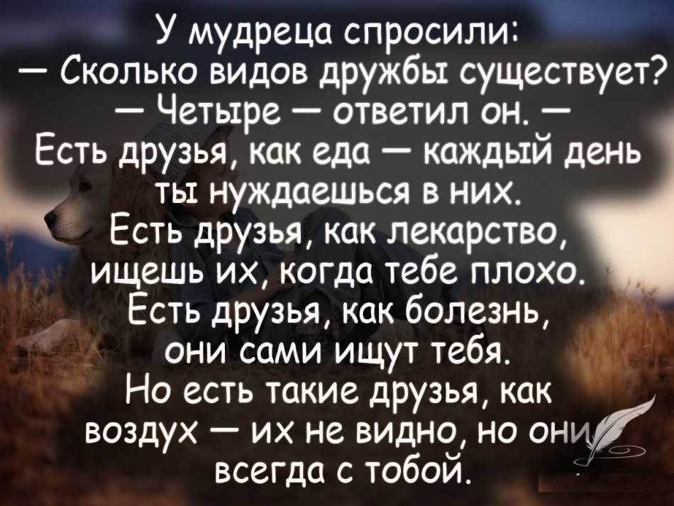 Цитаты о дружбе - лучшие афоризмы