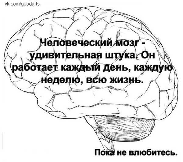 Сложные цитаты. статусы со смыслом: умные высказывания о жизни, людях и любви. статусы – современные афоризмы на каждый день
