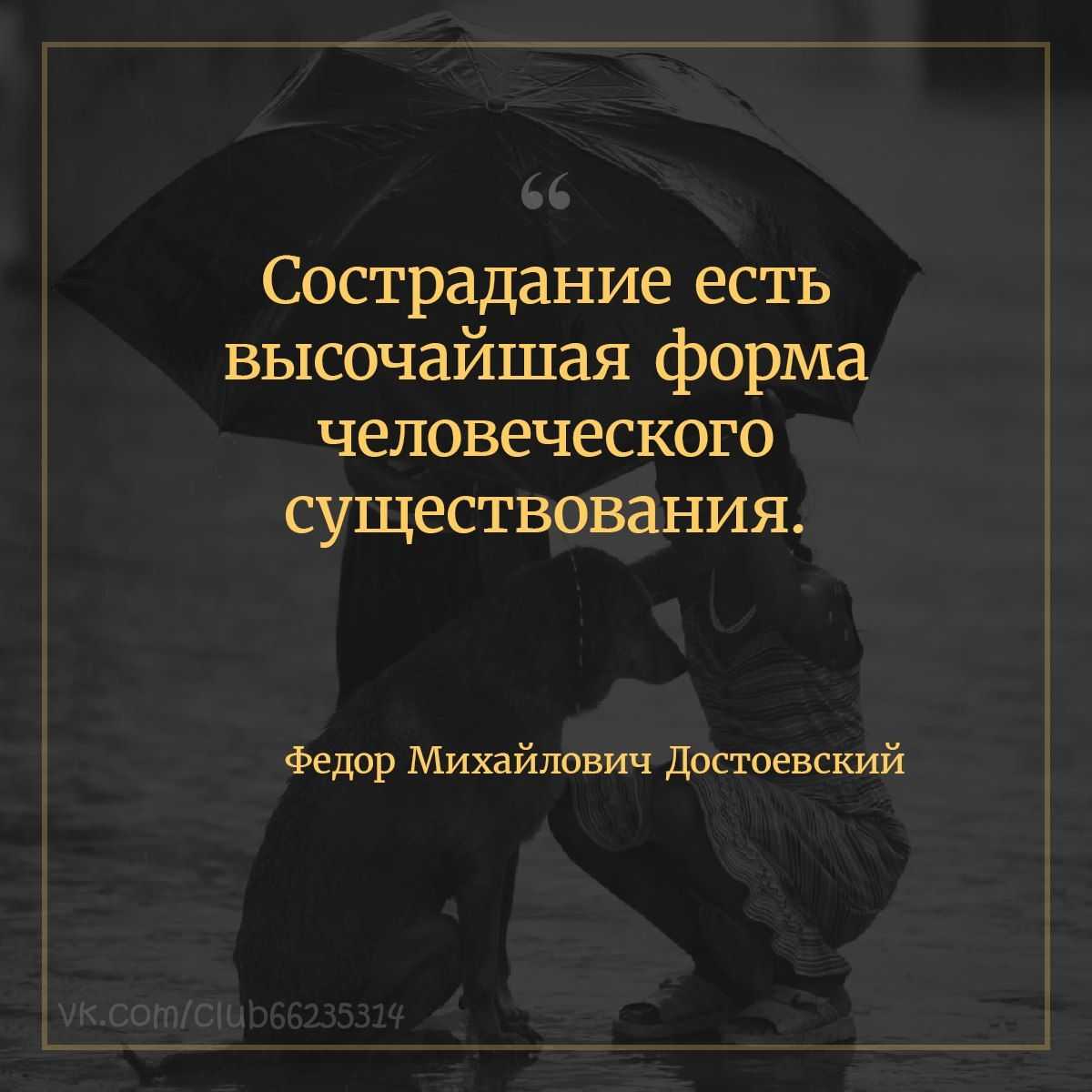206 красивых фраз о добре: короткие цитаты, высказывания, афоризмы, изречения знаменитостей о доброте со смыслом