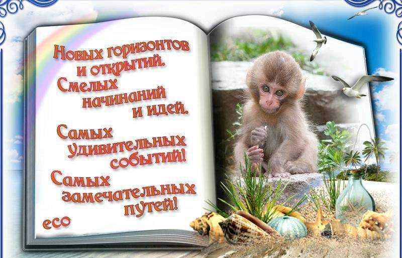 Поздравление с защитой диплома в прозе