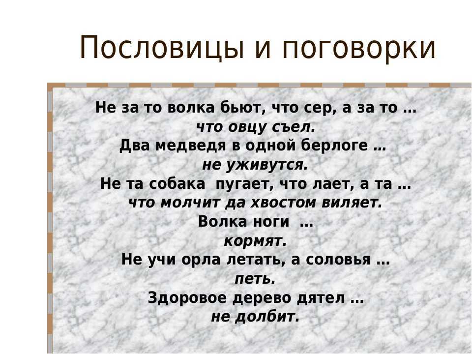 Цитаты про животных