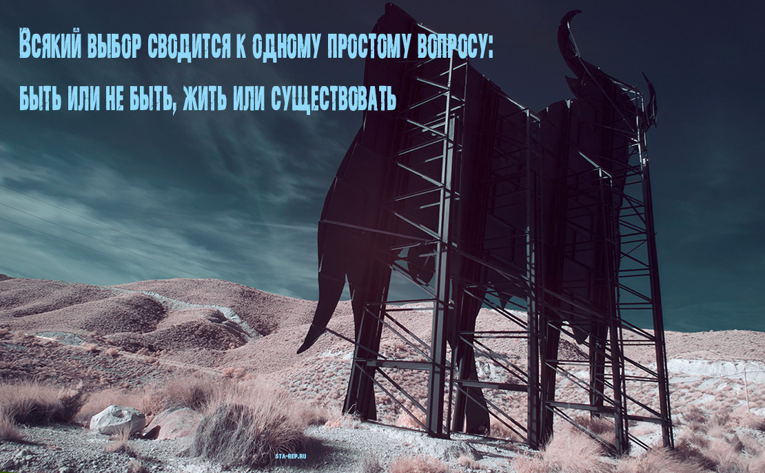101+ цитат стивена кинга от культового писателя ужасов