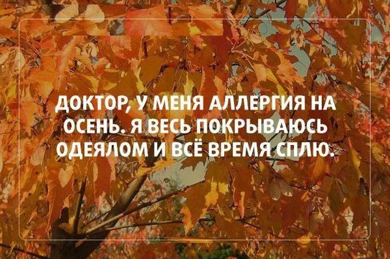 Цитаты и подписи про осень для инстаграм