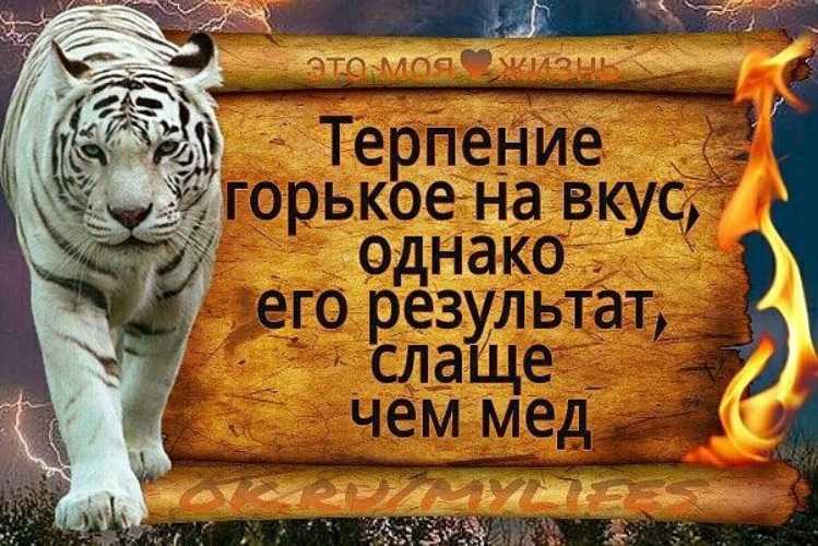 Цитаты про терпение, высказывания и статусы о терпении