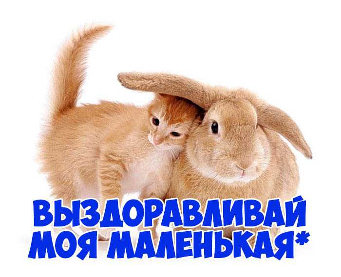 Выздоравливай скорее, не болей: картинки и открытки