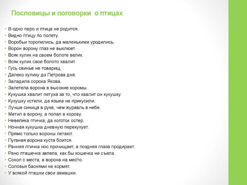 50 цитат и поговорок о животных для всех любителей животных