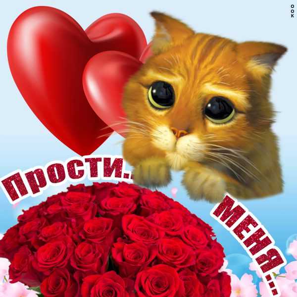Картинки прости меня любимая за все мои ошибки