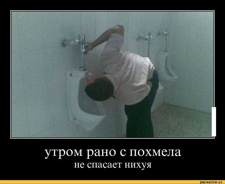 Демотиваторы про похмелье смешные