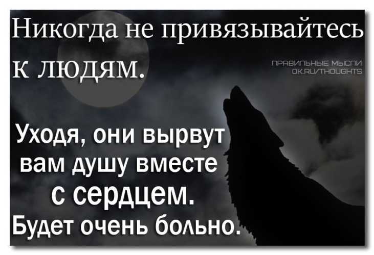 Цитаты про привязанность