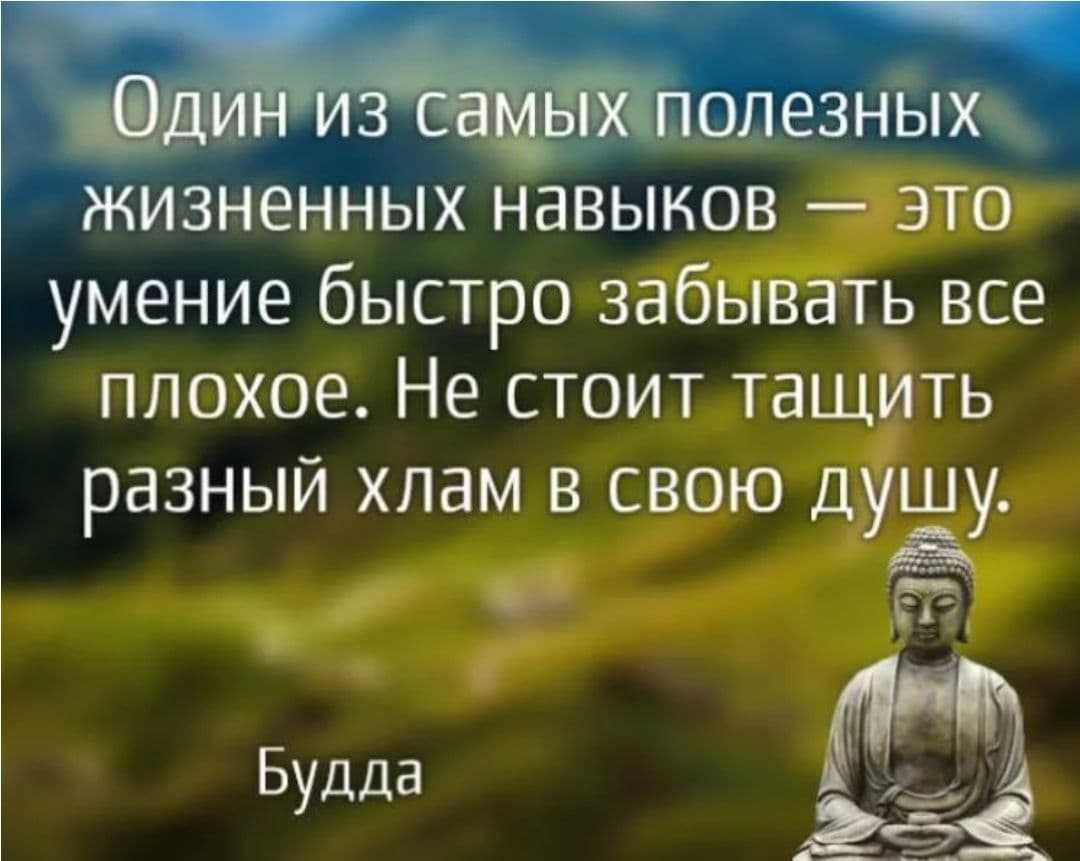 Лучшие цитаты про жизнь со смыслом: 100+ лучших цитат