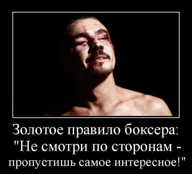 Лучшие цитаты про жизнь со смыслом: 100+ лучших цитат