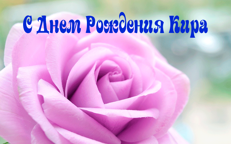 С днем рождения кира ⋆ красивые поздравиления и картинки