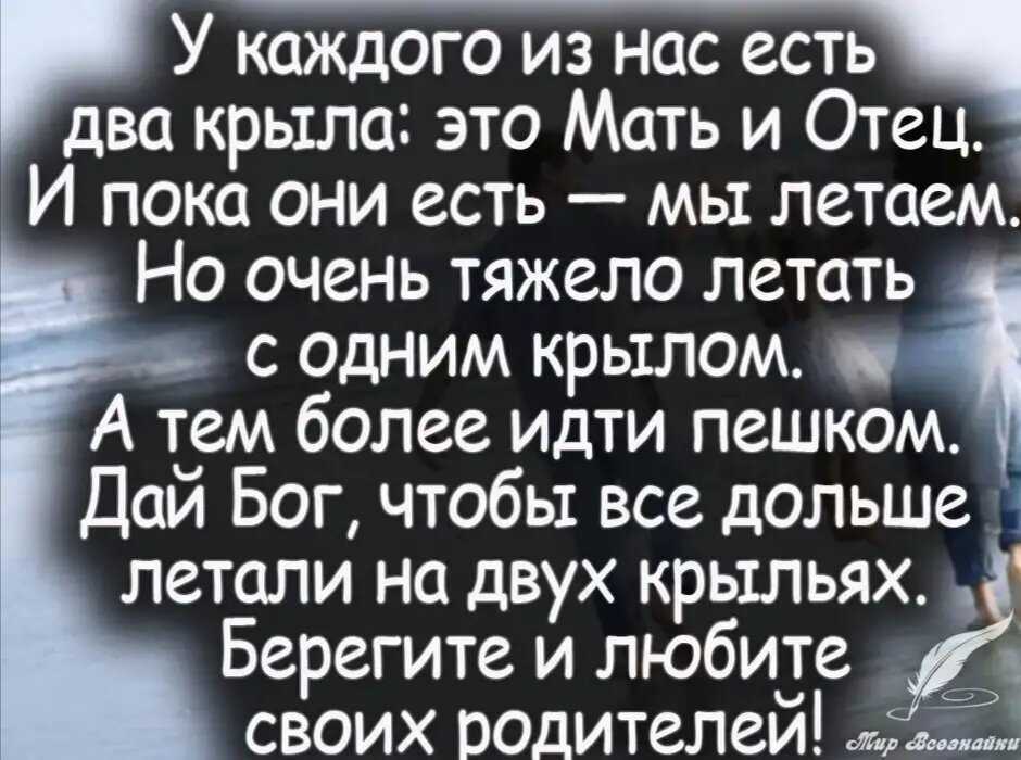 Мудрые высказывания о родителях и детях