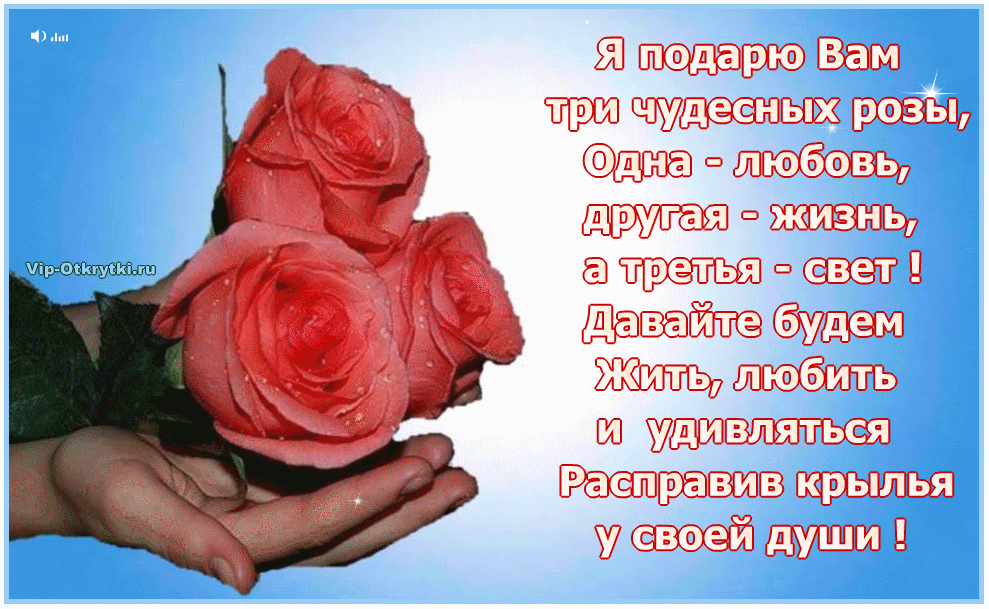 50 лучших цитат со всего мира для жизни