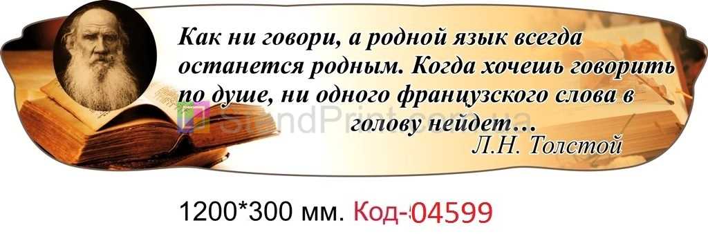 50 лучших цитат про учителей – статусы, афоризмы и прочие извечения