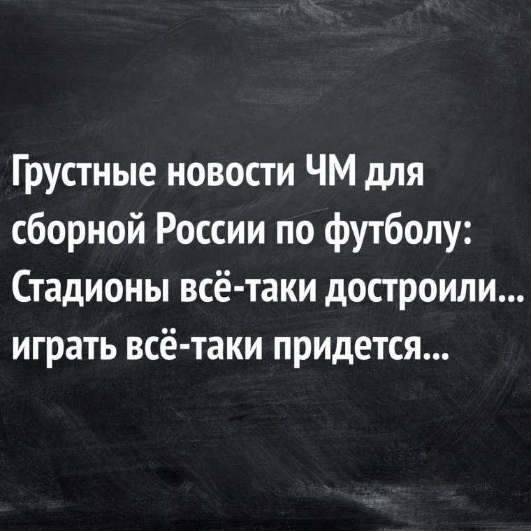 Он любит меня… 842 ромашки не будут врать! смешные цитаты про любовь