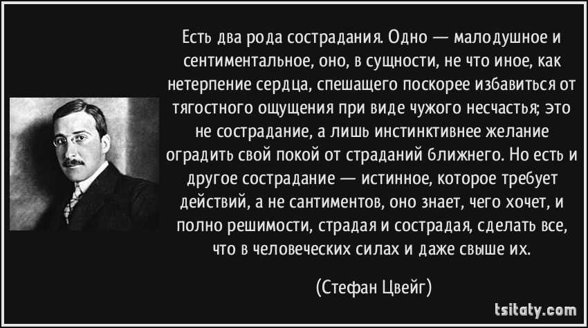 Стефан цвейг - лучшие книги, список всех книг по порядку (библиография), биография, отзывы читателей