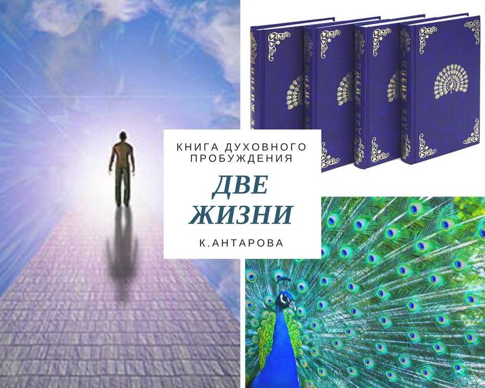 Конкордия антарова: о пути радости из книги «две жизни»