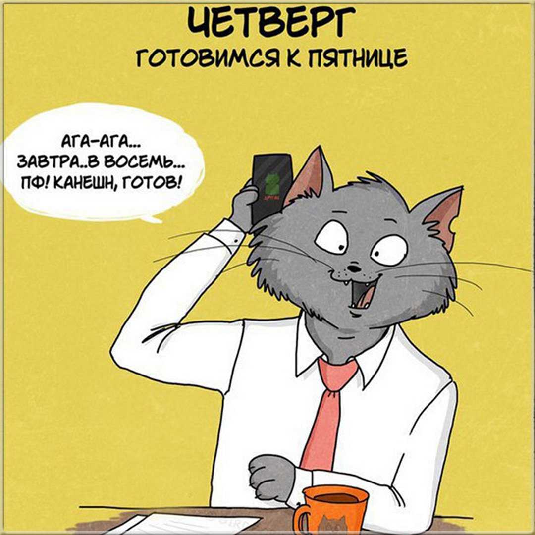 Цитаты про четверг. прикольные статусы про четверг