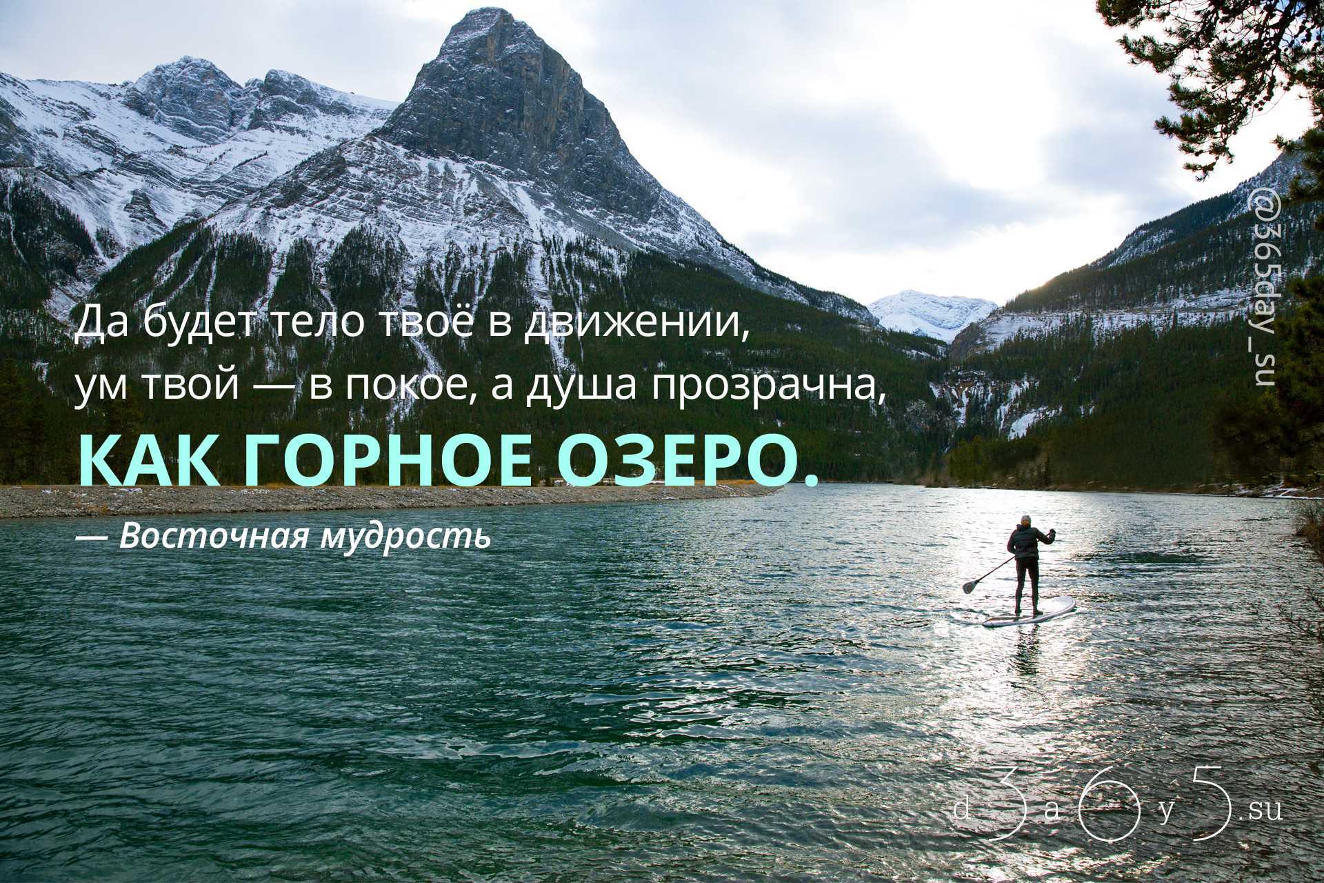 Цитаты на тему движение Подборка цитат со смыслом из книг, фильмов, песен и сериалов, афоризмы великих людей Вдохновляйтесь цитатами, добавляйте их в статус и под фото, делитесь с друзьями