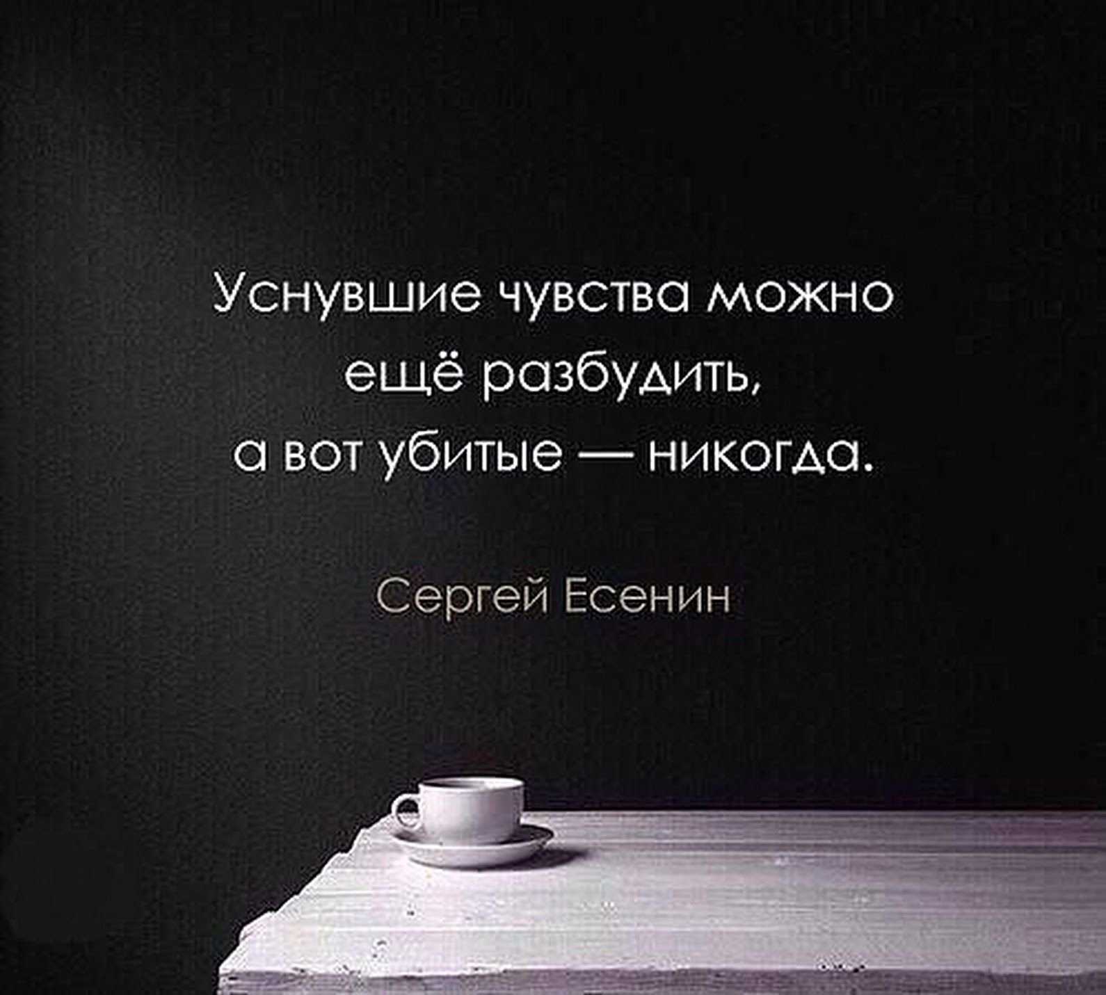 Высказывания об эмоциях. афоризмы про эмоции - эмоциональные статусы. способы проявления чувств